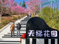 -盈香心动乐园