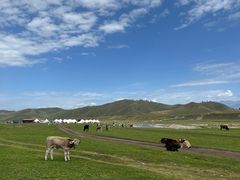 -新疆那拉提国家旅游度假区
