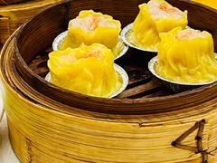 蟹子烧卖皇-潮福城大酒楼·潮粤菜·港式点心(阳光城店)