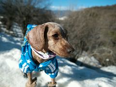 -太子岭滑雪场