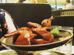 金牌乳鸽皇-大树餐厅(红旗街万达店)