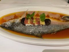 花雕蒸鲥鱼-圆苑(静安寺店)