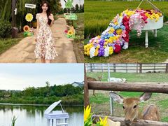 -杭州湾海上花田景区