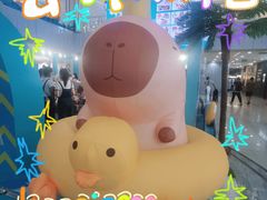-凯德MALL(西直门店)