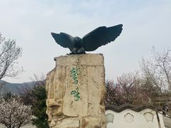 -北京鹫峰国家森林公园