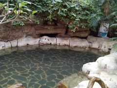 -龙达温泉生态城