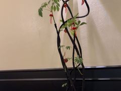 -涟LIAN·泰式按摩·MASSAGE·SPA(深业上城店)