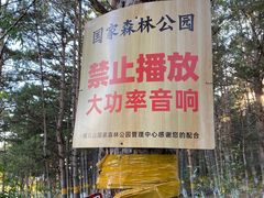 -帽儿山国家森林公园