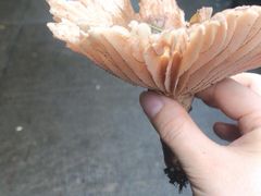 -宁波五龙潭景区