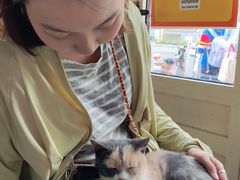 -猫小院猫主题餐厅(南锣旗舰店)