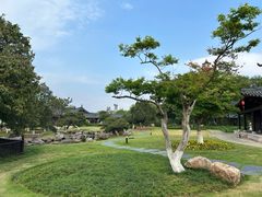 -江心屿景区