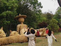 -石燕湖生态旅游景区