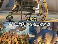 -中国西峡恐龙遗迹园