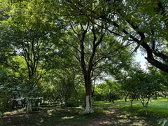 -西溪国家湿地公园