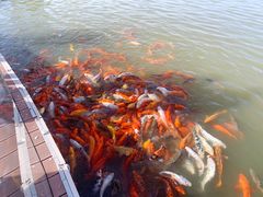 -春晖园度假酒店温泉