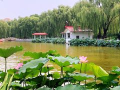 -丰台花园