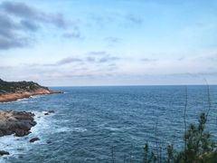 -广东惠东海龟国家级自然保护区