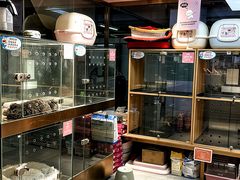 -FAELING PETS美天灵宠物(富力广场店)