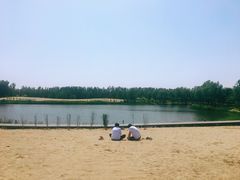 -东郊湿地公园