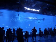 -烟台海昌鲸鲨海洋公园