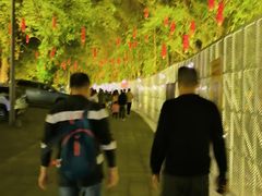 -南沙蒲洲花园