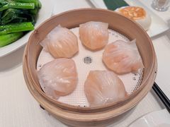 蝦餃-金苑海鲜酒家(来魅力店)