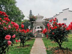 -东湖落雁景区