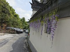 -山沟沟景区
