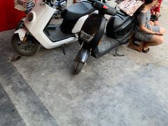 -陈氏肥蛤(小纬六路总店)