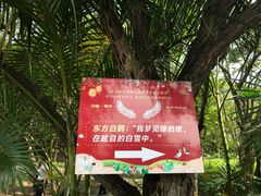 -大湾区中央湿地公园-十九涌