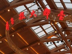 -刘老根大舞台-长春旗舰店