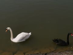 -杭州野生动物世界