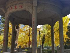 -玲珑塔公园