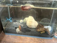 -老北京炸酱面大王.铜锅涮肉(朝阳门店)