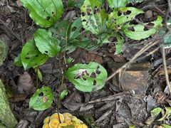 -敬亭山风景名胜区