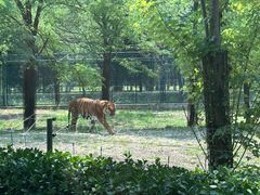 -秦皇岛野生动物园