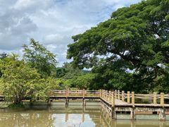 -中国科学院西双版纳热带植物园