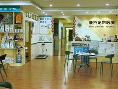 -千城康桥宠物医院·猫科·骨科·心脏