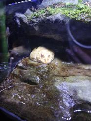 -酷嗒动物文化乐园(cutezoo西溪乐天城店)