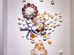 -青岛贝壳博物馆