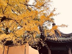 -惠山古镇·寄畅园