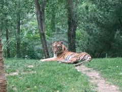 -北京野生动物园