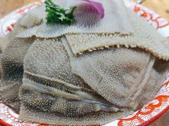 -楠火锅(哈尔滨金爵万象店)