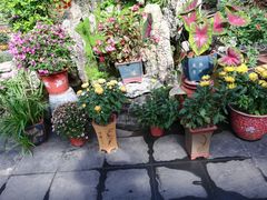 -白家大院·王府宫廷菜(苏州街店)
