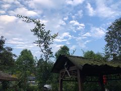 -青城甲(青城山店)