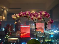 -宁波香格里拉大酒店