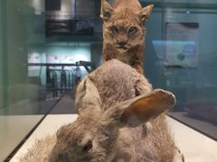 -国家自然博物馆