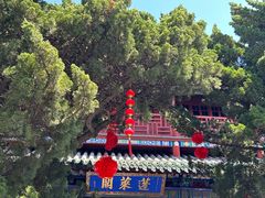 -蓬莱阁景区