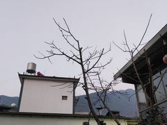 -苍山世界地质公园·石门关大峡谷