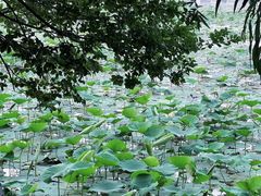 -云龙湖旅游景区